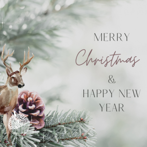 Merry Christmas and Happy New Year